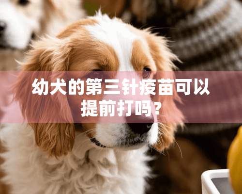 幼犬的第三针疫苗可以提前打吗？