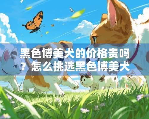 黑色博美犬的价格贵吗？怎么挑选黑色博美犬？