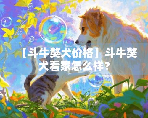 【斗牛獒犬价格】斗牛獒犬看家怎么样？