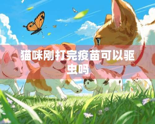 猫咪刚打完疫苗可以驱虫吗