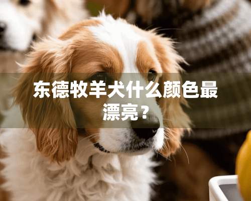 东德牧羊犬什么颜色最漂亮？