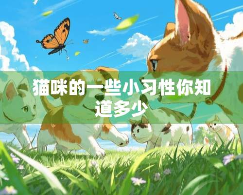 猫咪的一些小习性你知道多少