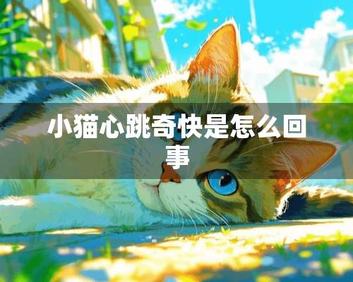 小猫心跳奇快是怎么回事