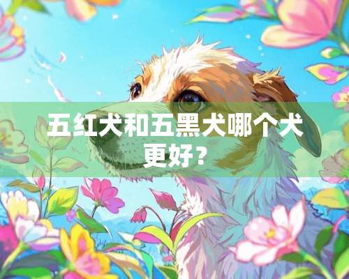 五红犬和五黑犬哪个犬更好？