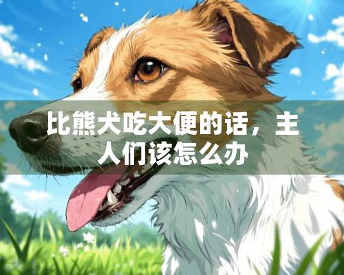 比熊犬吃大便的话，主人们该怎么办