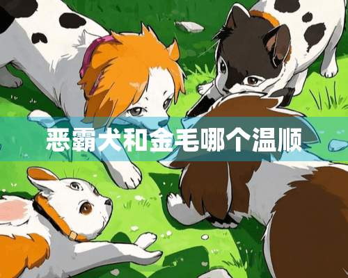 恶霸犬和金毛哪个温顺