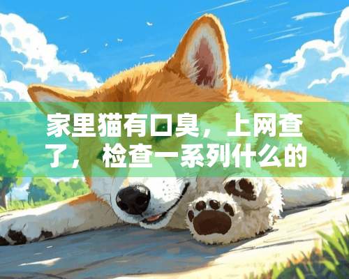 家里猫有口臭，上网查了， 检查一系列什么的大概需要花费多少，学生党。