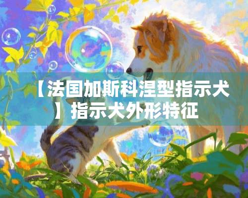 【法国加斯科涅型指示犬】指示犬外形特征