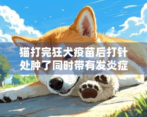 猫打完狂犬**后打针处肿了同时带有发炎症状。怎么办