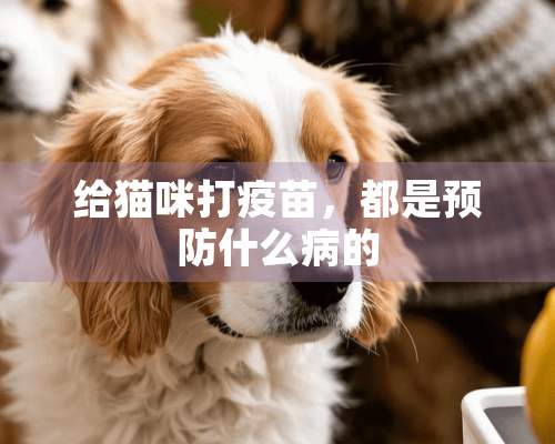 给猫咪打**，都是预防什么病的