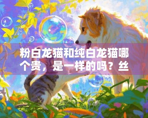 粉白龙猫和纯白龙猫哪个贵，是一样的吗？丝绒黑龙猫和纯黑龙猫哪个贵，一样吗？