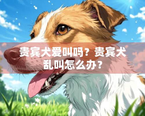 贵宾犬爱叫吗？贵宾犬乱叫怎么办？