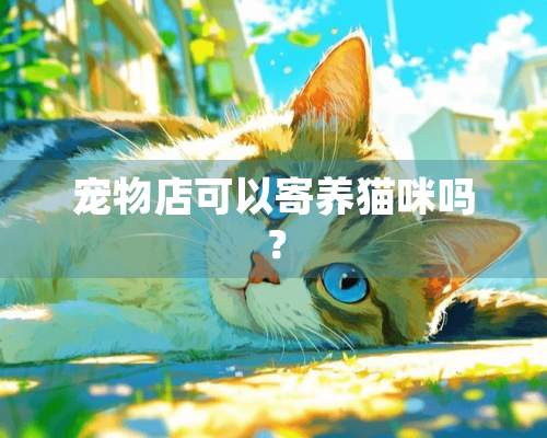 宠物店可以寄养猫咪吗？