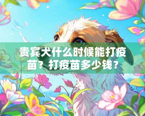 贵宾犬什么时候能打疫苗？打疫苗多少钱？