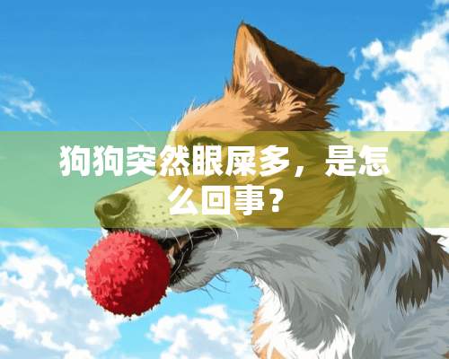 狗狗突然眼屎多，是怎么回事？