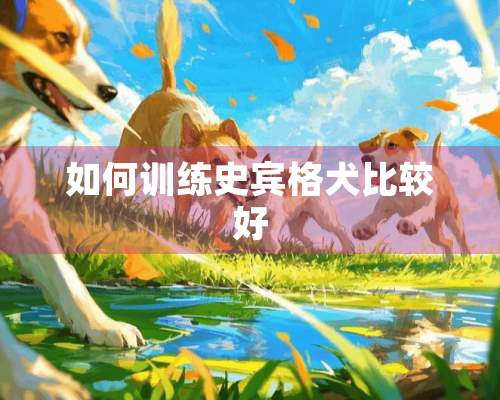 如何训练史宾格犬比较好