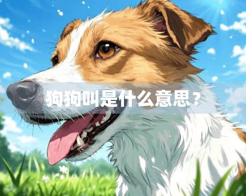 狗狗叫是什么意思？