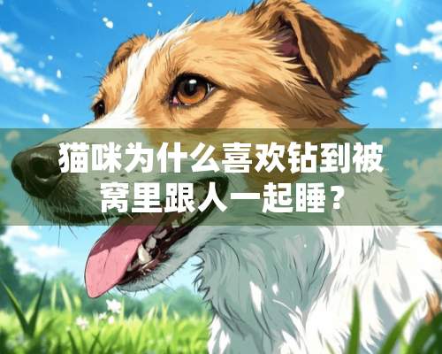 猫咪为什么喜欢钻到被窝里跟人一起睡？