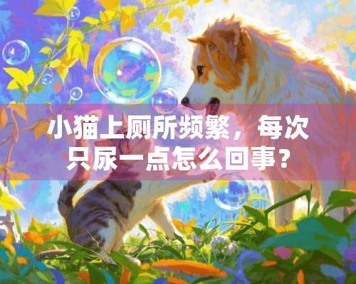 小猫上厕所频繁，每次只尿一点怎么回事？