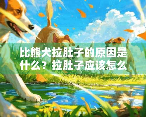 比熊犬拉肚子的原因是什么？拉肚子应该怎么办？