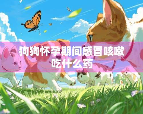 狗狗怀孕期间感冒咳嗽吃什么药