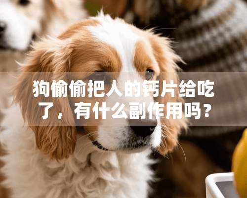 狗**把人的钙片给吃了，有什么副作用吗？