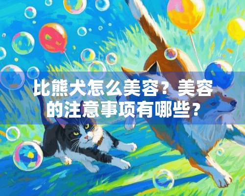 比熊犬怎么美容？美容的注意事项有哪些？