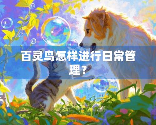 百灵鸟怎样进行日常管理？