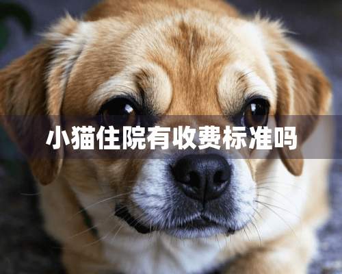 小猫住院有收费标准吗