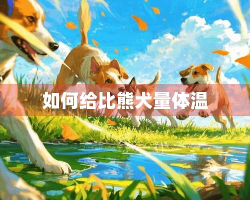 如何给比熊犬量体温