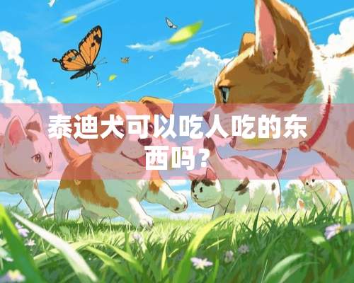 泰迪犬可以吃人吃的东西吗？