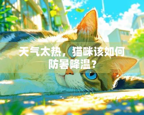 天气太热，猫咪该如何防暑降温？