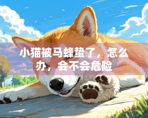 小猫被马蜂蛰了，怎么办，会不会危险