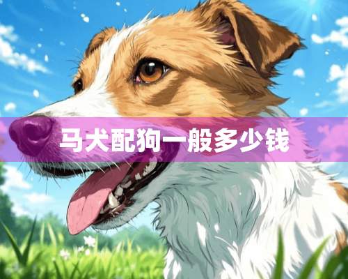 马犬配狗一般多少钱