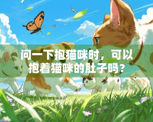 问一下抱猫咪时，可以抱着猫咪的肚子吗？