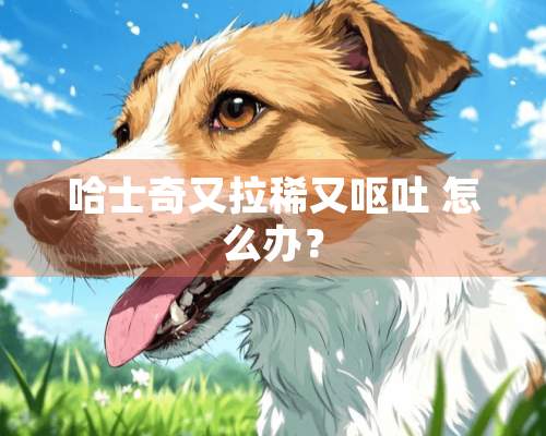 哈士奇又拉稀又呕吐 怎么办？