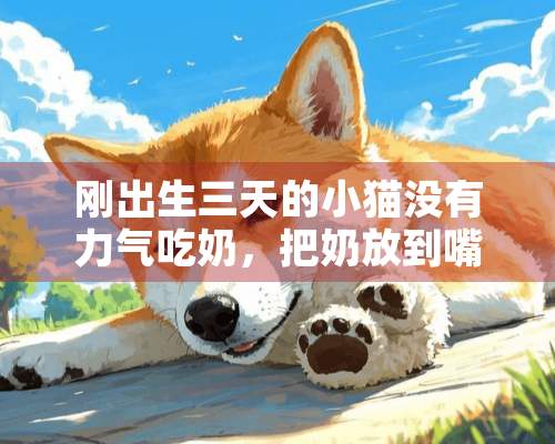 刚出生三天的小猫没有力气吃奶，把奶放到嘴边都不张嘴？