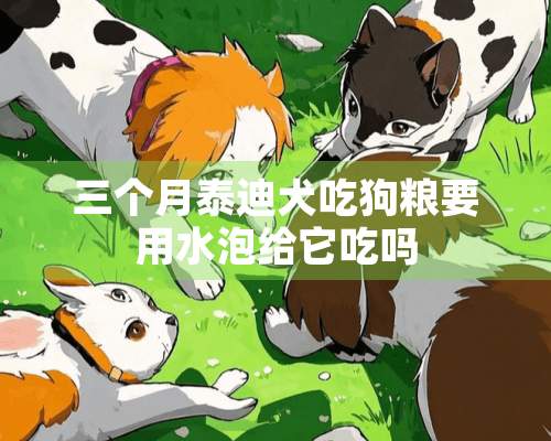 三个月泰迪犬吃狗粮要用水泡给它吃吗