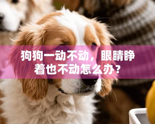 狗狗一动不动，眼睛睁着也不动怎么办？