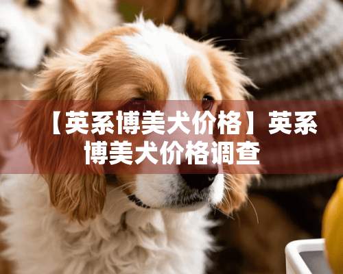 【英系博美犬价格】英系博美犬价格调查