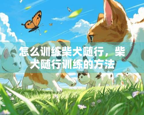 怎么训练柴犬随行，柴犬随行训练的方法