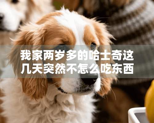 我家两岁多的哈士奇这几天突然不怎么吃东西了