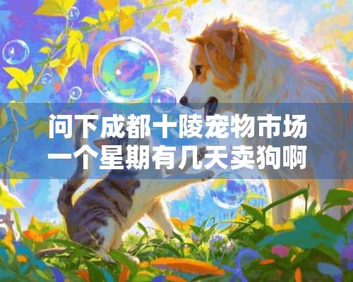 问下成都十陵宠物市场一个星期有几天卖狗啊？是哪几