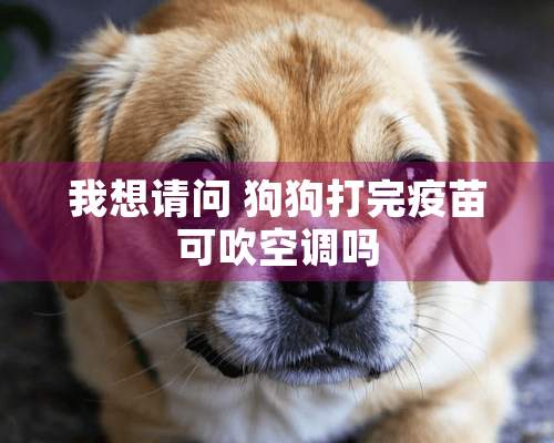 我想请问 狗狗打完疫苗可吹空调吗