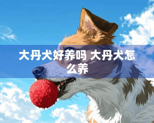 大丹犬好养吗 大丹犬怎么养