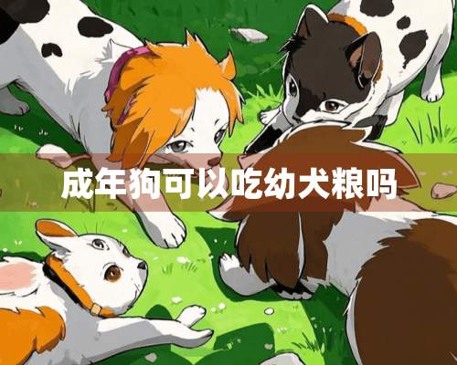 成年狗可以吃幼犬粮吗