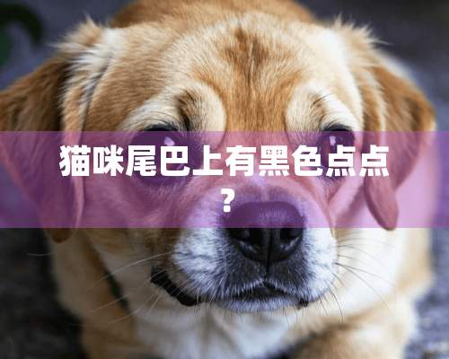 猫咪尾巴上有黑色点点？