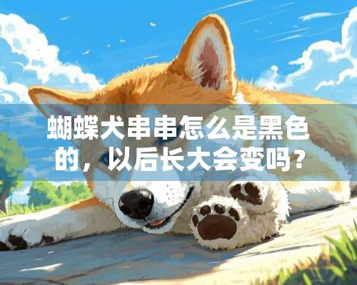 蝴蝶犬串串怎么是黑色的，以后长大会变吗？