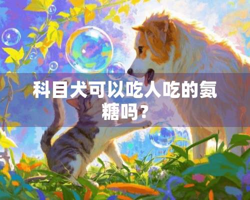 科目犬可以吃人吃的氨糖吗？