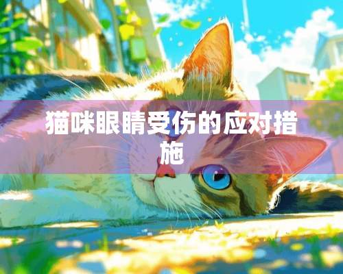 猫咪眼睛受伤的应对措施